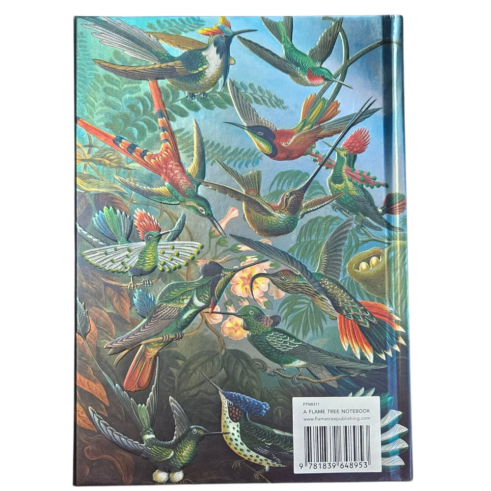NWT - Ernst Haeckel - Hummingbird Art Hardcover Journal Notebook